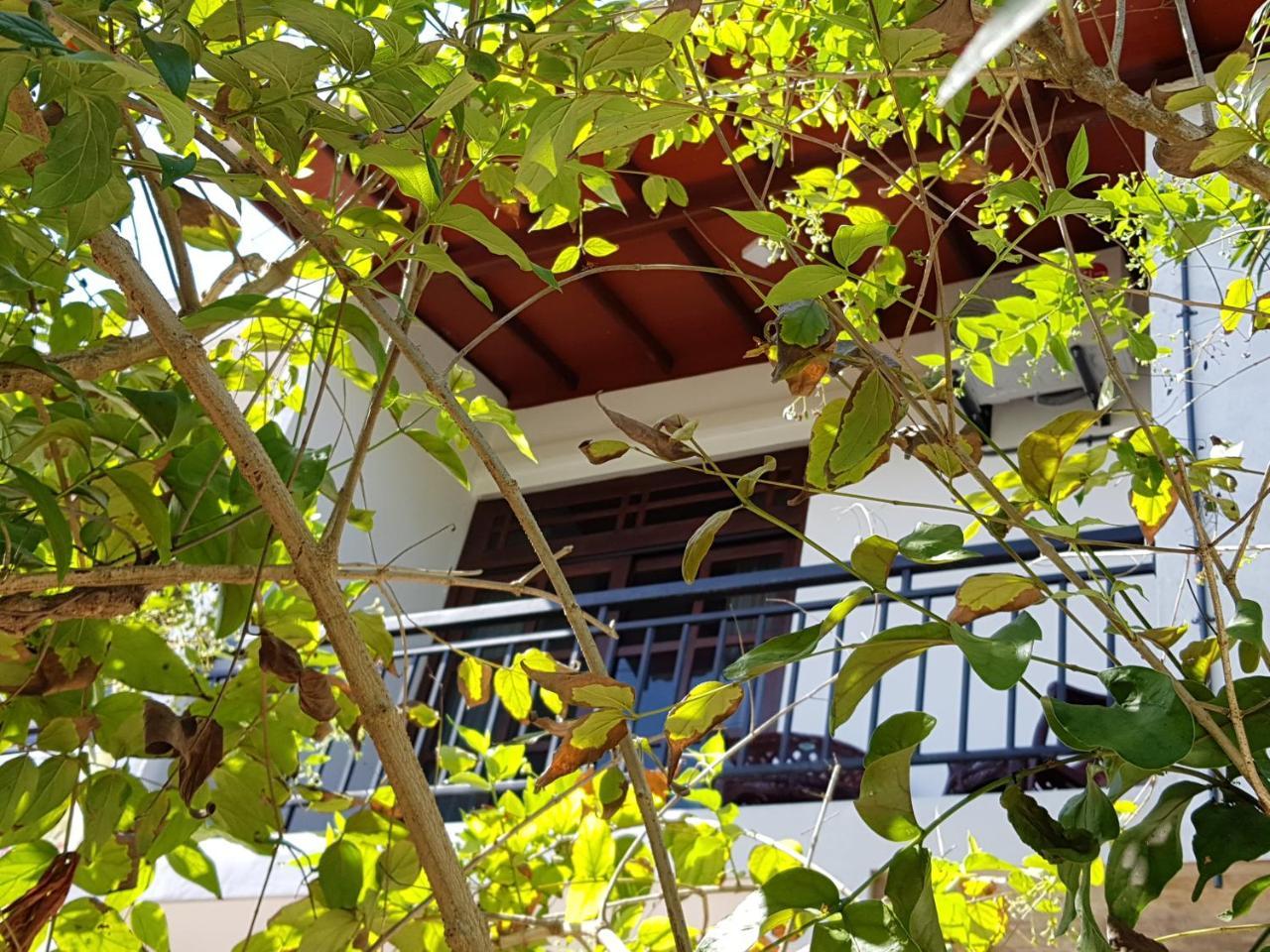 My Whales Guest House Banduramulla Eksteriør bilde